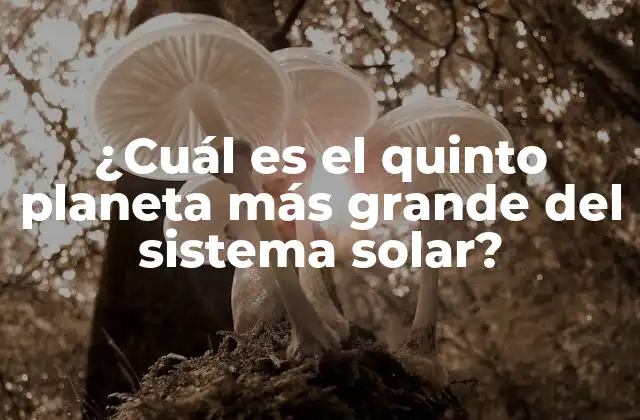 ¿cuál es el Quinto Planeta Más Grande Del Sistema Solar?
