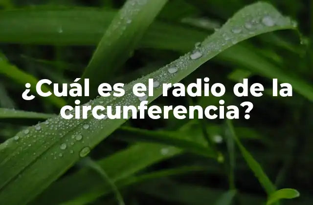 ¿cuál es el Radio de la Circunferencia?
