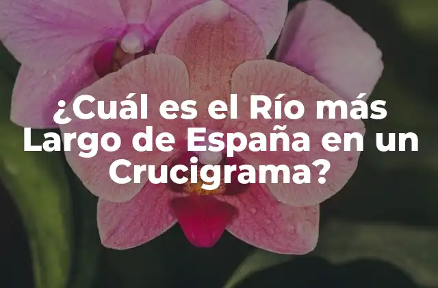 ¿cuál es el Río Más Largo de España en un Crucigrama?