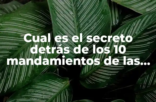 Cual es el Secreto Detrás de los 10 Mandamientos de las Relaciones Humanas