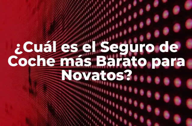 ¿cuál es el Seguro de Coche Más Barato para Novatos?
