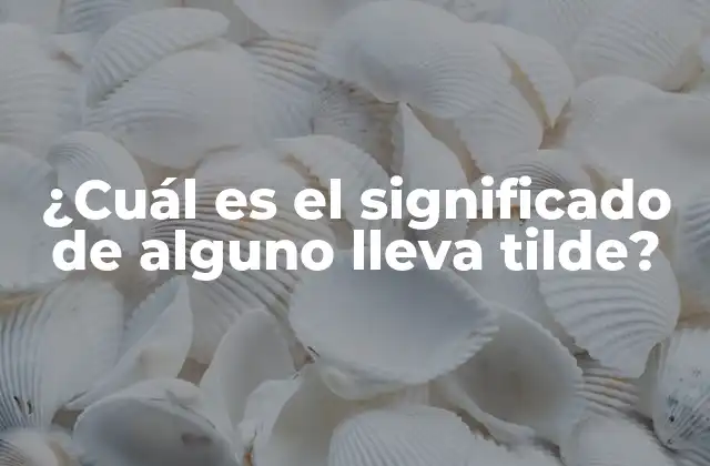 ¿cuál es el Significado de Alguno Lleva Tilde?