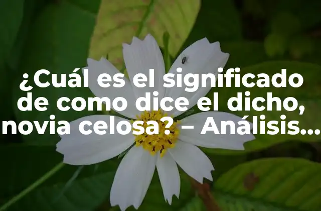 ¿cuál es el Significado de como Dice el Dicho, Novia Celosa? – Análisis y Explicación Del Proverbio