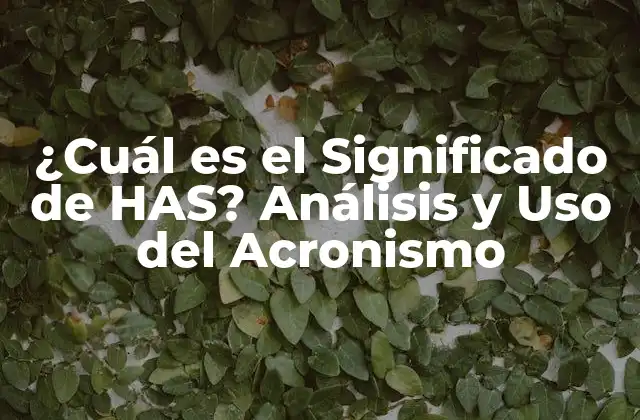 ¿cuál es el Significado de Has? Análisis y Uso Del Acronismo