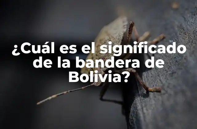 ¿cuál es el Significado de la Bandera de Bolivia?