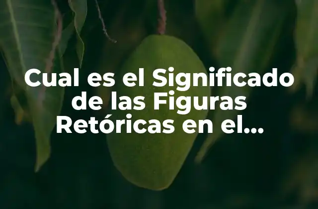 Cual es el Significado de las Figuras Retóricas en el Lenguaje