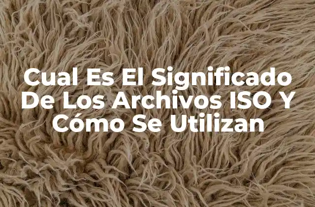 Cual es el Significado de los Archivos Iso y Cómo Se Utilizan
