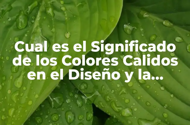 Cual es el Significado de los Colores Calidos en el Diseño y la Decoración