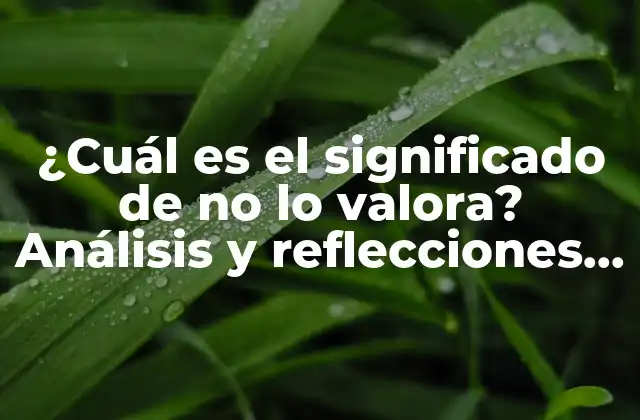 ¿cuál es el Significado de No Lo Valora? Análisis y Reflecciones sobre la Falta de Aprecio
