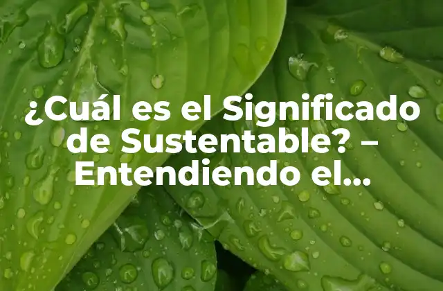 ¿cuál es el Significado de Sustentable? – Entendiendo el Concepto de Sostenibilidad