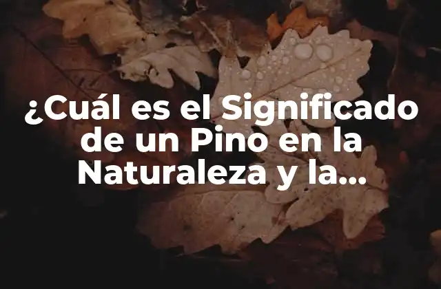 ¿cuál es el Significado de un Pino en la Naturaleza y la Cultura?