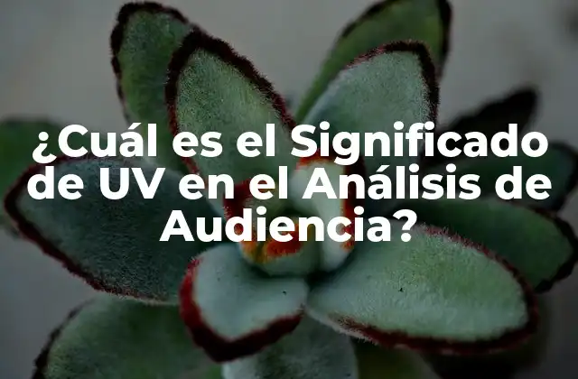 ¿cuál es el Significado de Uv en el Análisis de Audiencia?