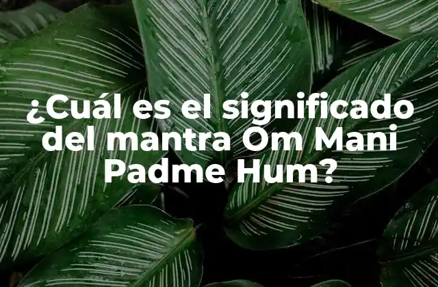¿cuál es el Significado Del Mantra Om Mani Padme Hum?