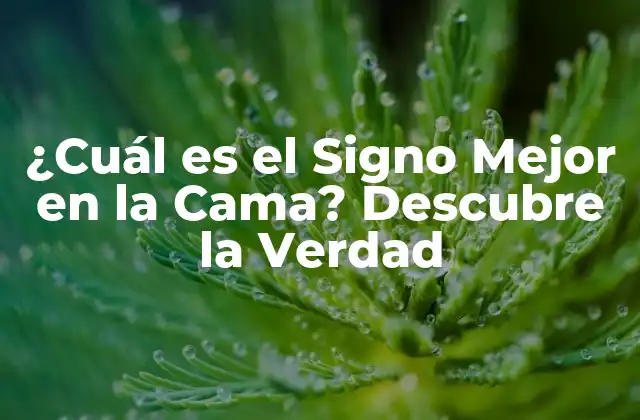 ¿cuál es el Signo Mejor en la Cama? Descubre la Verdad