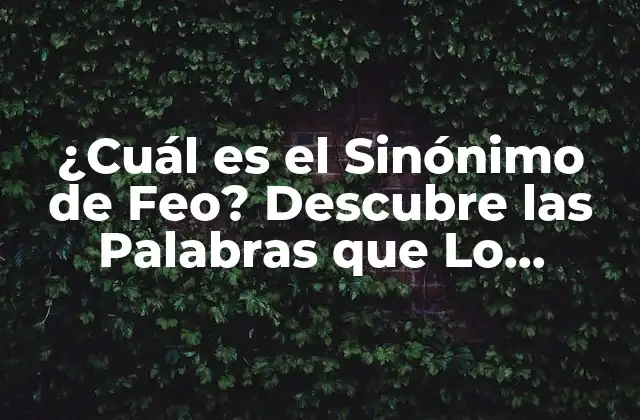 ¿cuál es el Sinónimo de Feo? Descubre las Palabras que Lo Definen