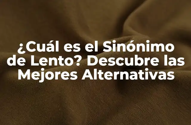 ¿Por qué es Importante Conocer los Sinónimos de Lento?