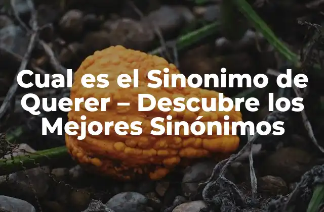 Cual es el Sinonimo de Querer - Descubre los Mejores Sinónimos 2 Anhelar - Un Sinónimo de Querer con Connotación Emocional
