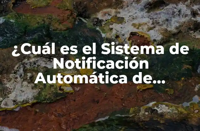 ¿cuál es el Sistema de Notificación Automática de Transacciones (sat)?