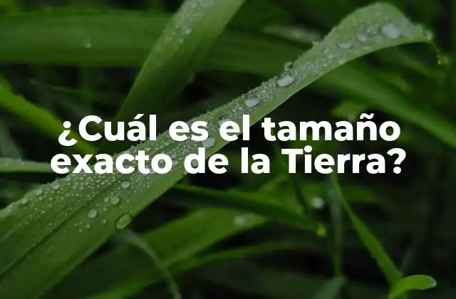 ¿cuál es el Tamaño Exacto de la Tierra?