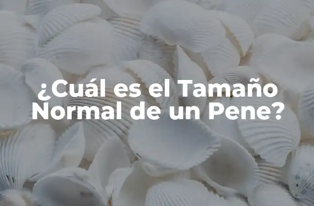 ¿cuál es el Tamaño Normal de un Pene?