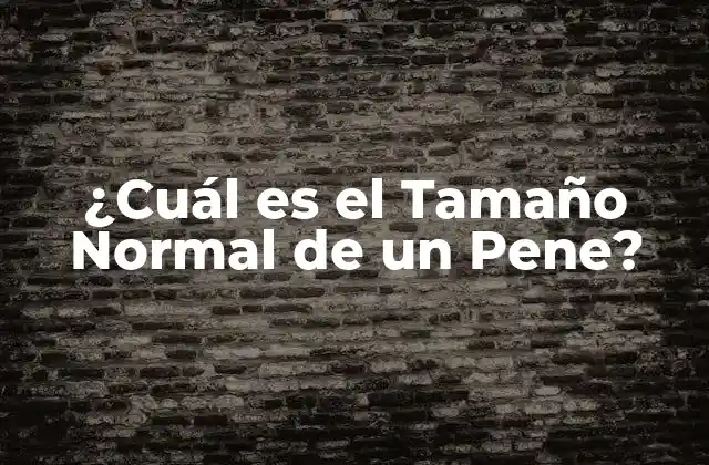 ¿cuál es el Tamaño Normal de un Pene? 2 La Importancia de la Conocimiento sobre el Tamaño del Pene