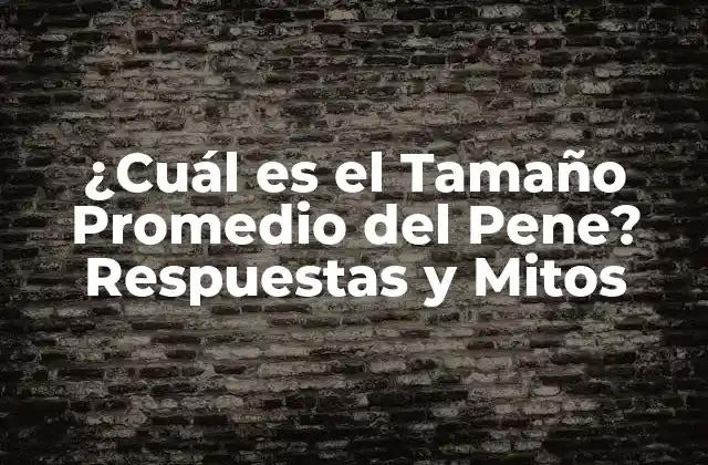 ¿cuál es el Tamaño Promedio Del Pene? Respuestas y Mitos