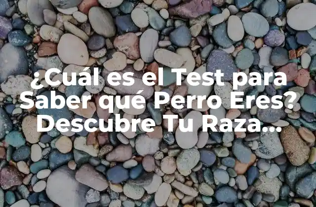 ¿cuál es el Test para Saber Qué Perro Eres? Descubre Tu Raza Canina Ideal