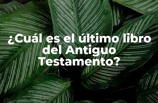 ¿cuál es el Último Libro Del Antiguo Testamento?
