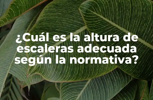 ¿cuál es la Altura de Escaleras Adecuada según la Normativa?