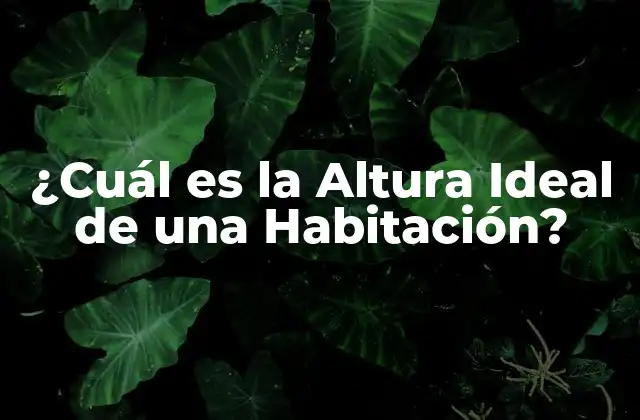 ¿cuál es la Altura Ideal de una Habitación?