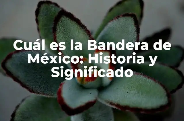 Cuál es la Bandera de México: Historia y Significado