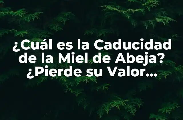 ¿cuál es la Caducidad de la Miel de Abeja? ¿pierde Su Valor Nutricional con el Tiempo?