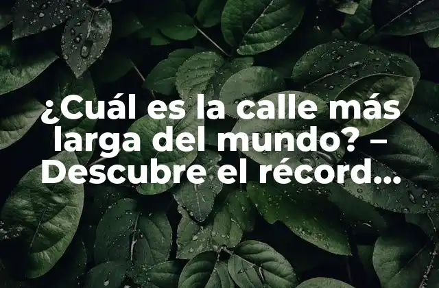 ¿cuál es la Calle Más Larga Del Mundo? – Descubre el Récord Guinness