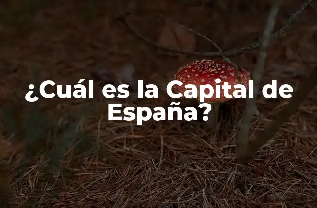 ¿cuál es la Capital de España?