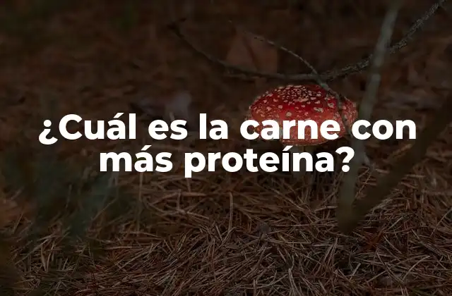 ¿cuál es la Carne con Más Proteína?