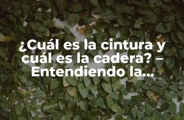 ¿cuál es la Cintura y Cuál es la Cadera? – Entendiendo la Diferencia