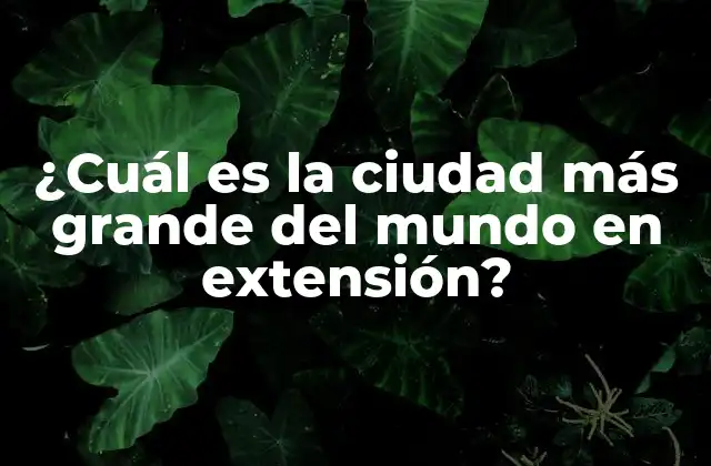 ¿cuál es la Ciudad Más Grande Del Mundo en Extensión?