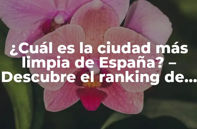 ¿cuál es la Ciudad Más Limpia de España? – Descubre el Ranking de las Ciudades Más Limpias de España