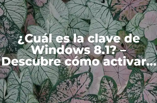 ¿cuál es la Clave de Windows 8.1? – Descubre Cómo Activar Tu Sistema Operativo