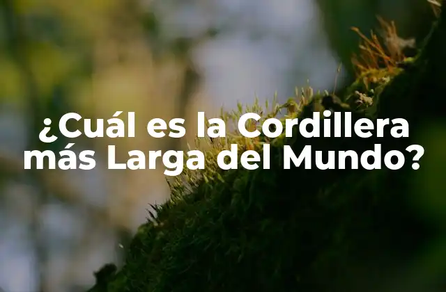 ¿cuál es la Cordillera Más Larga Del Mundo?