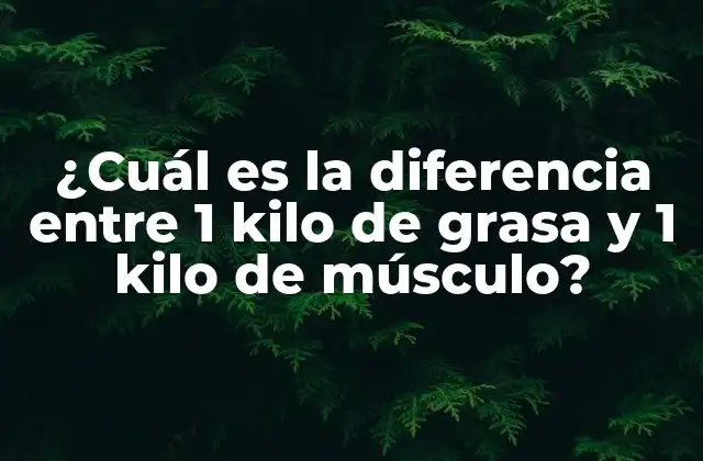 ¿cuál es la Diferencia entre 1 Kilo de Grasa y 1 Kilo de Músculo?