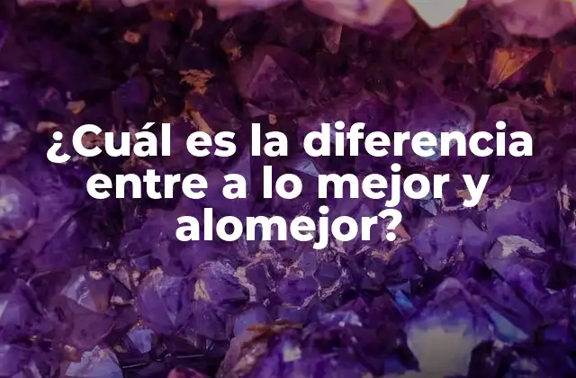 ¿cuál es la Diferencia entre a Lo Mejor y Alomejor?