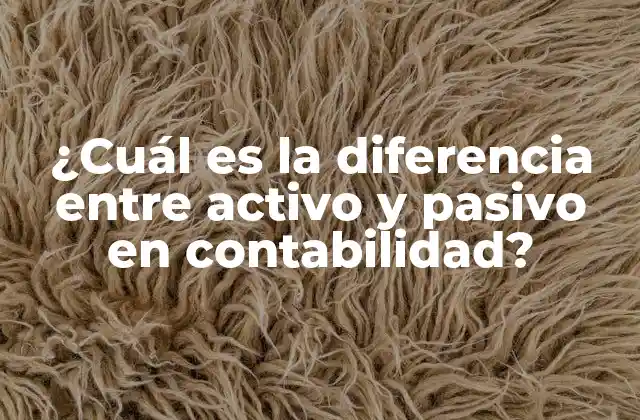 ¿cuál es la Diferencia entre Activo y Pasivo en Contabilidad?