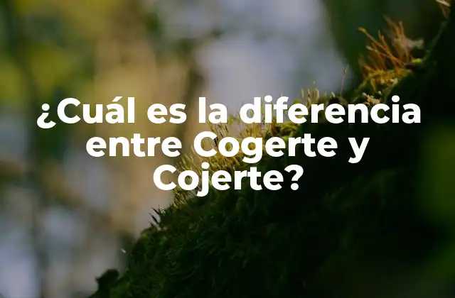¿cuál es la Diferencia entre Cogerte y Cojerte? 2 Orígenes y significados