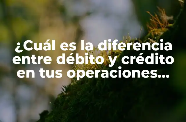 ¿cuál es la Diferencia entre Débito y Crédito en Tus Operaciones Financieras?
