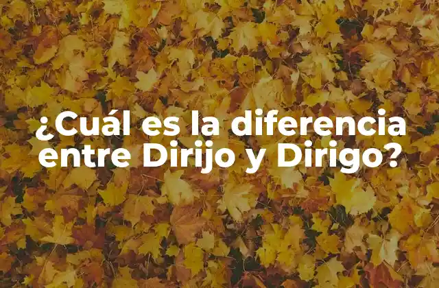 ¿cuál es la Diferencia entre Dirijo y Dirigo?