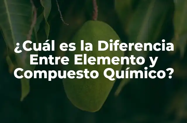 ¿cuál es la Diferencia entre Elemento y Compuesto Químico?