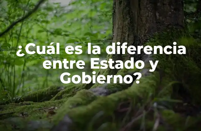 ¿cuál es la Diferencia entre Estado y Gobierno?