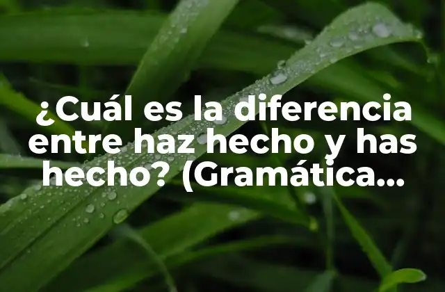 ¿cuál es la Diferencia entre Haz Hecho y Has Hecho? (gramática Española)