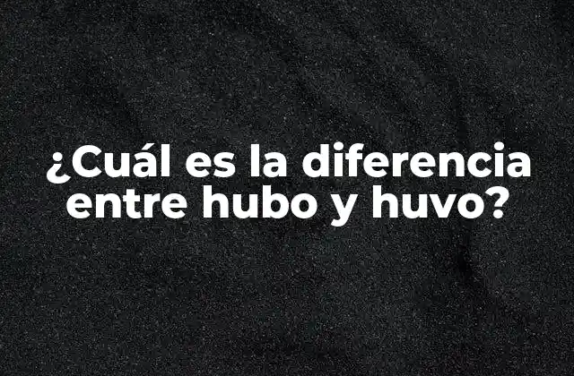 ¿cuál es la Diferencia entre Hubo y Huvo?